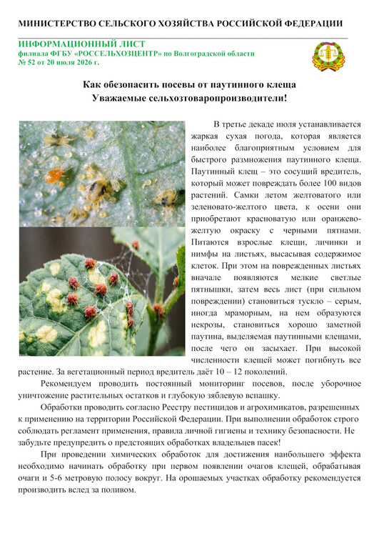 Как обезопасить посевы от паутинного клеща